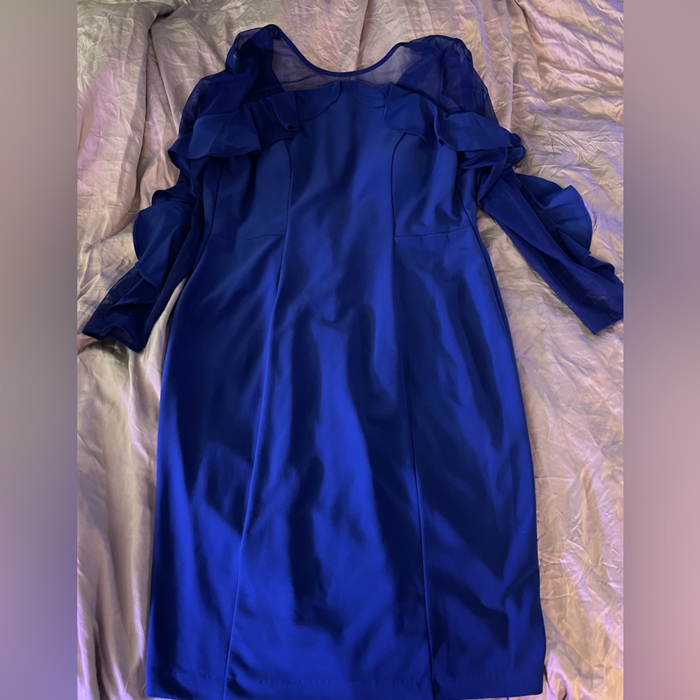 Designer dress size 12